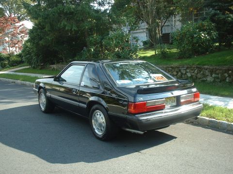1988 Ford Mustang - This black 1988 Ford Mustang coupe is seen from the rear on a suburban street.