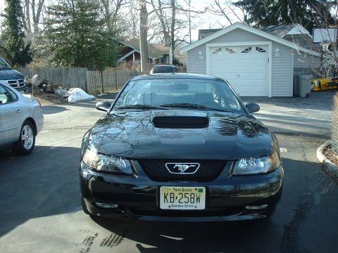 2002 Ford Mustang - This black 2002 Ford Mustang features a prominent hood scoop and is parked in a driveway.