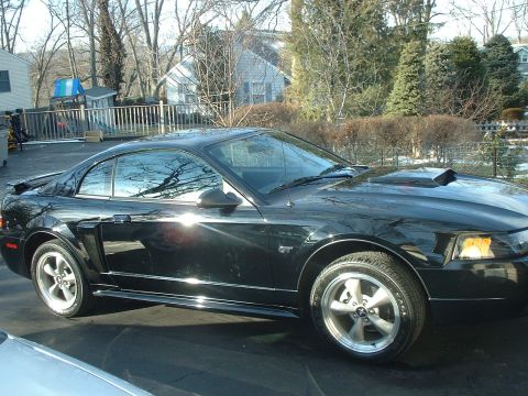 2002 Ford Mustang - A black Ford Mustang GT is parked in a residential driveway on a sunny day.