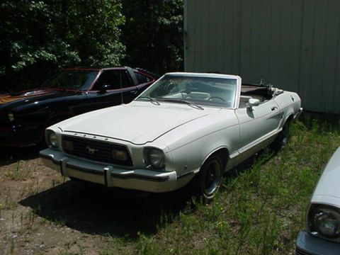 1977 Ford Mustang II - A white convertible sits in a grassy area next to another vehicle.