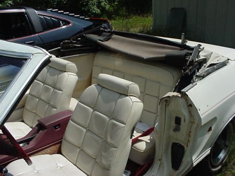 1977 Ford Mustang II - Interior view of a white convertible, with another dark-colored car visible in the background.