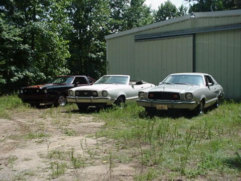 1977 Ford Mustang II - Three 1977 Ford Mustang IIs are parked outside a metal building, with trees in the background.