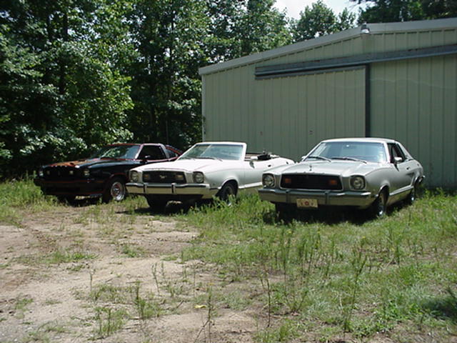 Three 1977 Ford Mustang IIs parked in front of a metal building, two convertibles and one coupe, silver and white