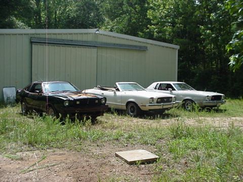 1977 Ford Mustang II - Three 1977 Ford Mustang IIs are parked in front of a metal building, with one black coupe and two white models visible.
