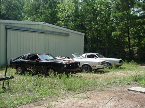 1977 Ford Mustang II - Three cars, including a 1977 Ford Mustang II, are parked in front of a metal building.