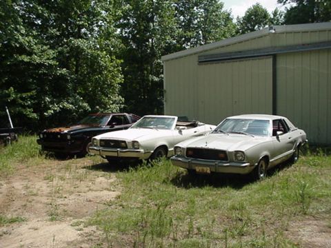 1977 Ford Mustang II - Three 1977 Ford Mustang IIs are visible in front of a large metal building with trees in the background.