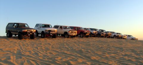 1984 Ford Bronco - A group of Ford Broncos are lined up on a sandy terrain during the day.