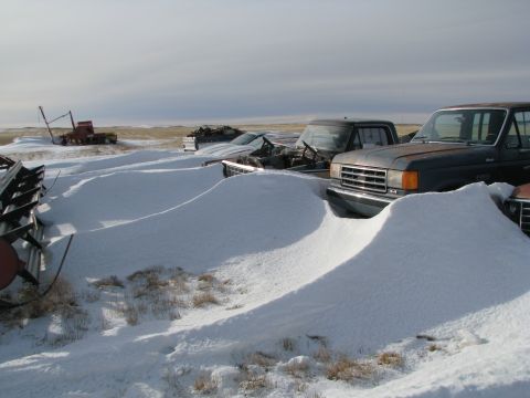 1982 Ford F-150 - A line of trucks sits partially buried in snow drifts under an overcast sky.