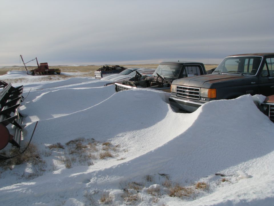 Several trucks are parked in a snowy field. One truck in the foreground has a prominent grille