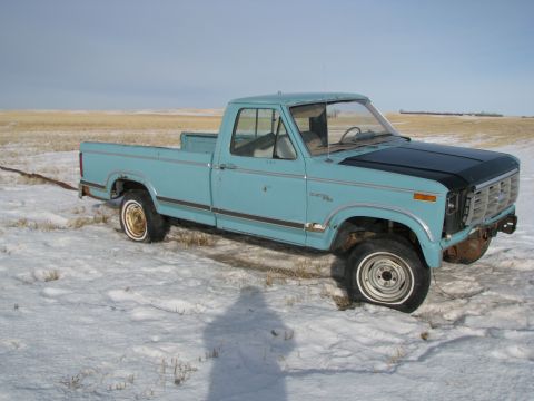 1982 Ford F-150 - A light blue pickup truck sits in a snowy field, its black hood contrasting with the pale blue body.