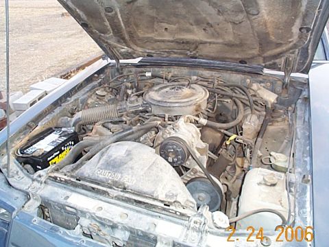 1986 Ford Mustang
