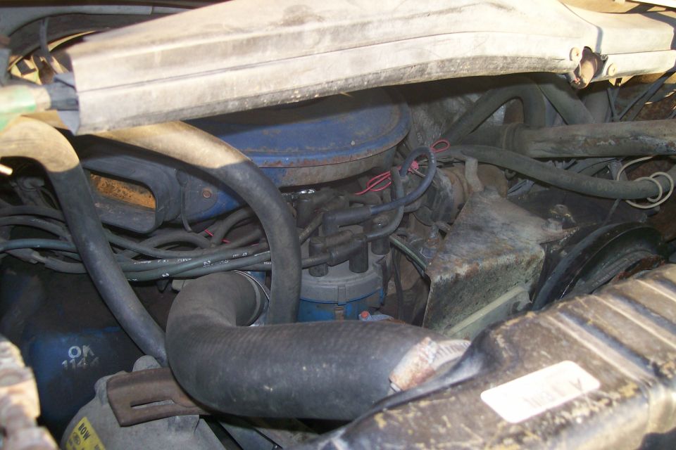 Engine bay of a 1982 Ford E350 showing distributor, wires, and hoses.