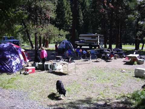 1991 Ford Bronco - A white and orange camper truck is parked at a campsite with several tents and picnic tables set up around it. A black and white dog is in…