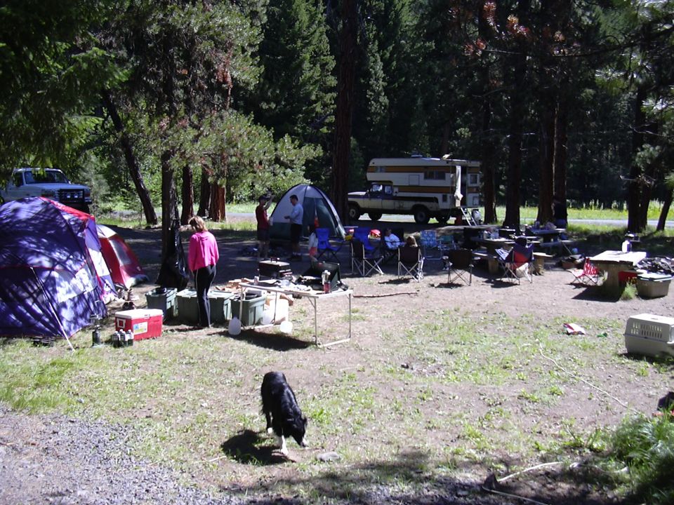White and orange camper truck at a campsite with tents and a dog.