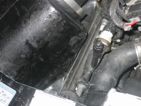 1996 Ford Thunderbird - A close-up view of engine components, including a black hose and a sensor with white tape, is shown in the engine bay.