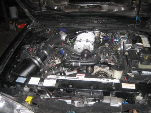 1996 Ford Thunderbird - The engine bay of a modified 1996 Ford Thunderbird is shown, featuring a prominent supercharger and various aftermarket components. The vie…