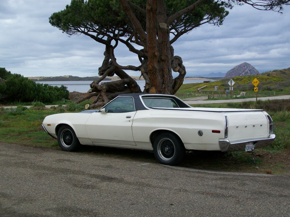 White Ford Ranchero rear three-quarter view parked by a coastal lagoon and cypress tree