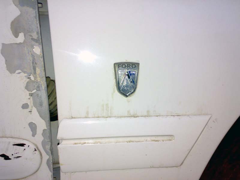 Close-up of a white vehicle door with a Ford emblem and trim.