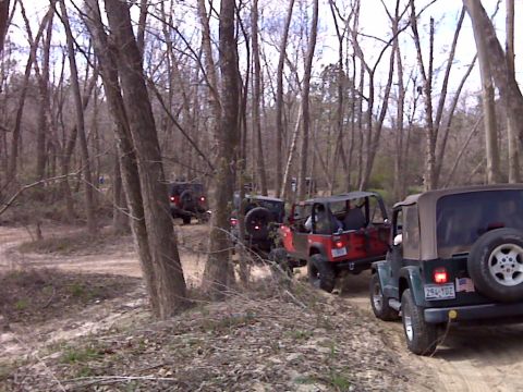 2008 Jeep Wrangler - A group of Jeeps navigates a wooded trail, kicking up dust on the path.