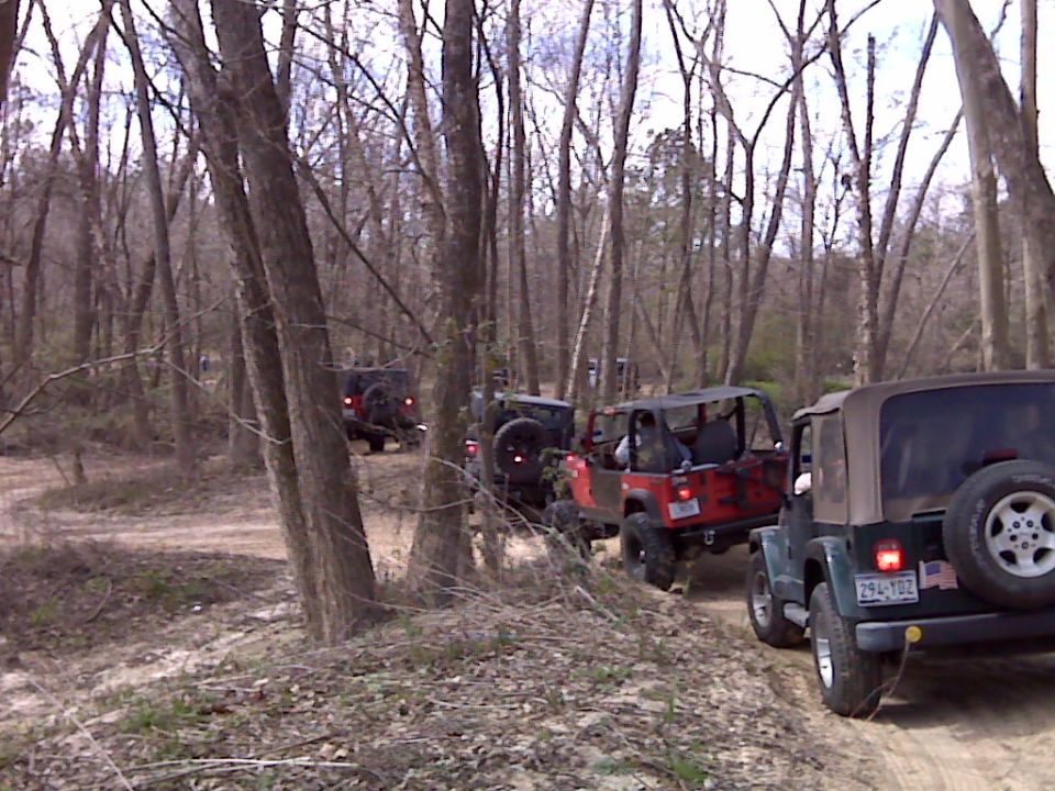 Several Jeeps driving on a dirt path through a wooded area. One Jeep in the foreground is dark green