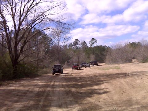 2008 Jeep Wrangler - Several Jeep Wranglers traverse a dusty trail through a wooded landscape under a partly cloudy sky.