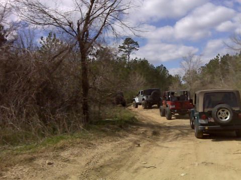 2008 Jeep Wrangler - Multiple Jeeps navigate a dirt path surrounded by trees under a cloudy sky.