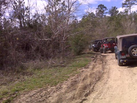 2008 Jeep Wrangler - A line of Jeeps navigates a rough, unpaved path surrounded by dense vegetation.