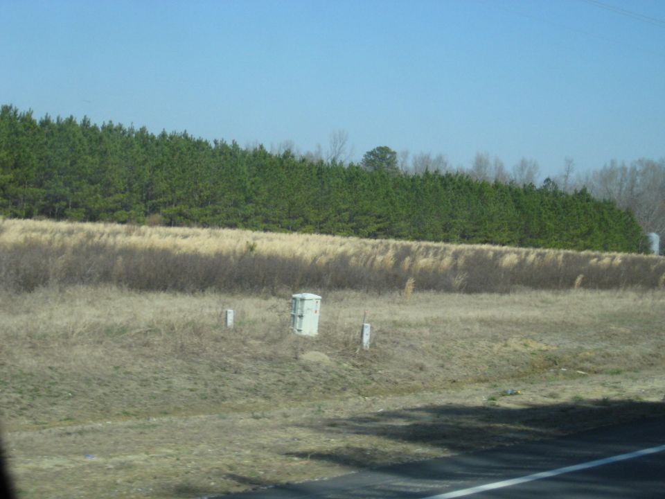 Utility box and two white markers in a grassy field with pine trees in the background