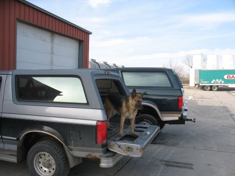 1995 Ford C-350 (Centurion Conversions)