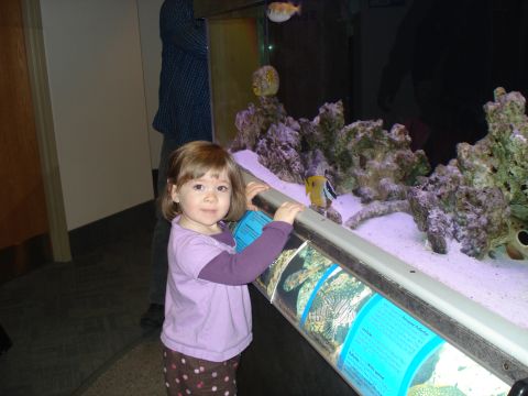 2000 Ford Crown Victoria - A young girl in a purple shirt and polka dot pants looks towards the camera while standing in front of a large aquarium.