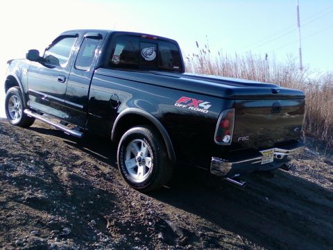 2002 Ford F-150 photo