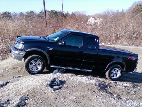 2002 Ford F-150 photo