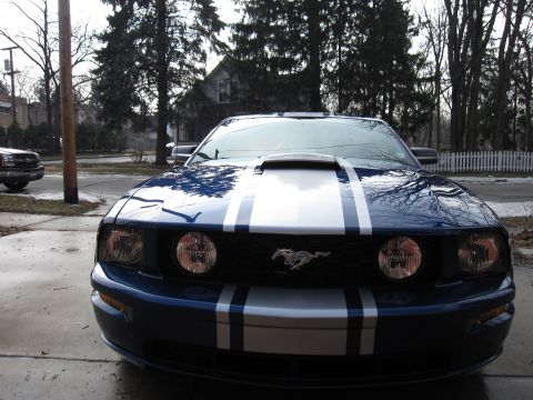 1992 Ford Bronco - Photograph of a blue Mustang GT front, not a technical document.