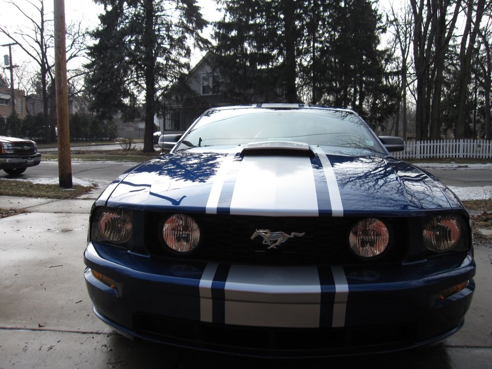 Front view photo of a blue Ford Mustang GT with white racing stripes