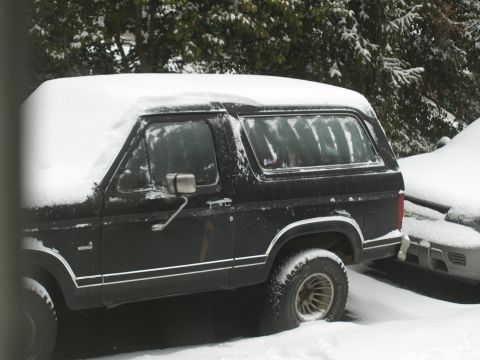 1986 Ford Bronco “Betty Lou”