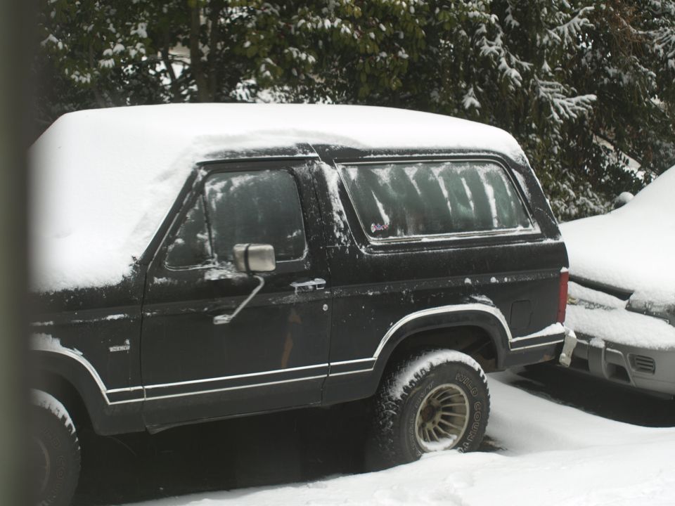 1986 Ford Bronco “Betty Lou”