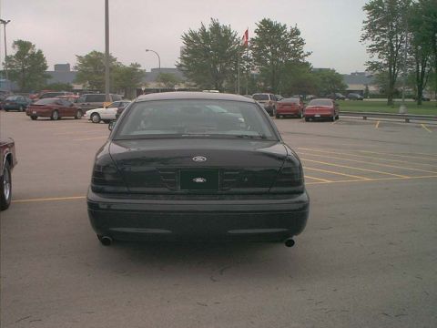 2000 Ford Crown Victoria - Black Ford Crown Victoria seen from the rear in a parking lot.