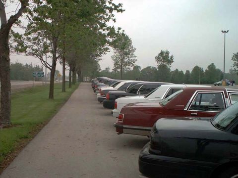 2000 Ford Crown Victoria - Several sedans are parked in a line next to a sidewalk and a row of trees under an overcast sky.