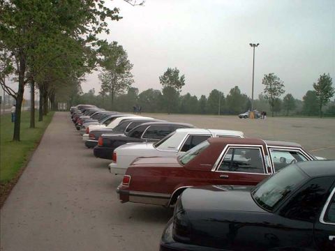 2000 Ford Crown Victoria - Several Ford Crown Victorias are parked in a lot under an overcast sky.