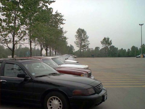 2000 Ford Crown Victoria - A line of sedans, including a black 2000 Ford Crown Victoria, are parked in a lot under a hazy sky.