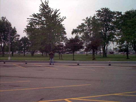 2000 Ford Crown Victoria - A wide view of a parking lot shows a lone individual amidst trees and a distant expanse of parked vehicles.