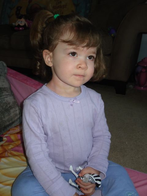 2000 Ford Crown Victoria - A young child sits on the floor, holding a toy zebra and looking off to the side.