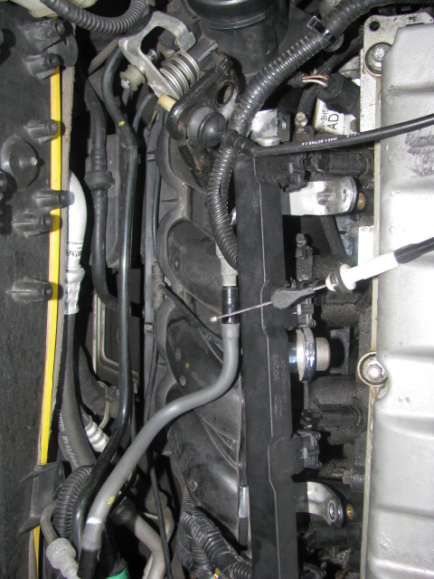 2003 Ford Focus - Engine bay components, including hoses and wiring, are visible in this close-up view.