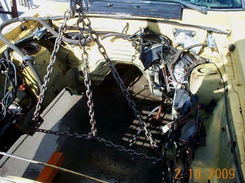 1982 Ford Mustang - back down to back in tharapy room
