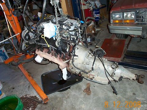 1982 Ford Mustang - this is what going in it. the 5.0 and AOD only has less than 73,000 miles from factory 1987 crown vic
