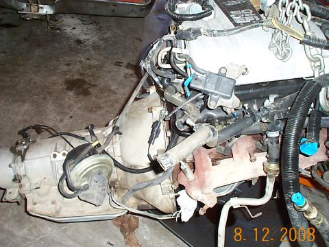 1982 Ford Mustang - right side photo