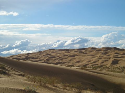 1986 Toyota Hilux - Vast sand dunes stretch across the landscape under a partly cloudy sky.