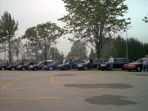 2000 Ford Crown Victoria - A group of Crown Victoria sedans, including several police cruisers, are parked in an outdoor lot under an overcast sky.