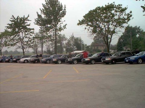 2000 Ford Crown Victoria - Multiple Ford Crown Victorias are parked in a lot under an overcast sky.