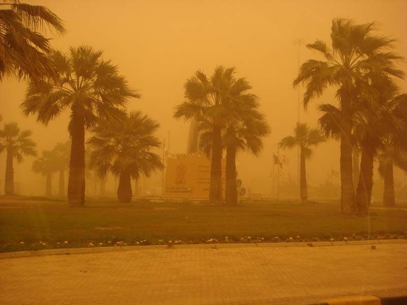 Palm trees in a sandstorm with a yellow sign in the background
